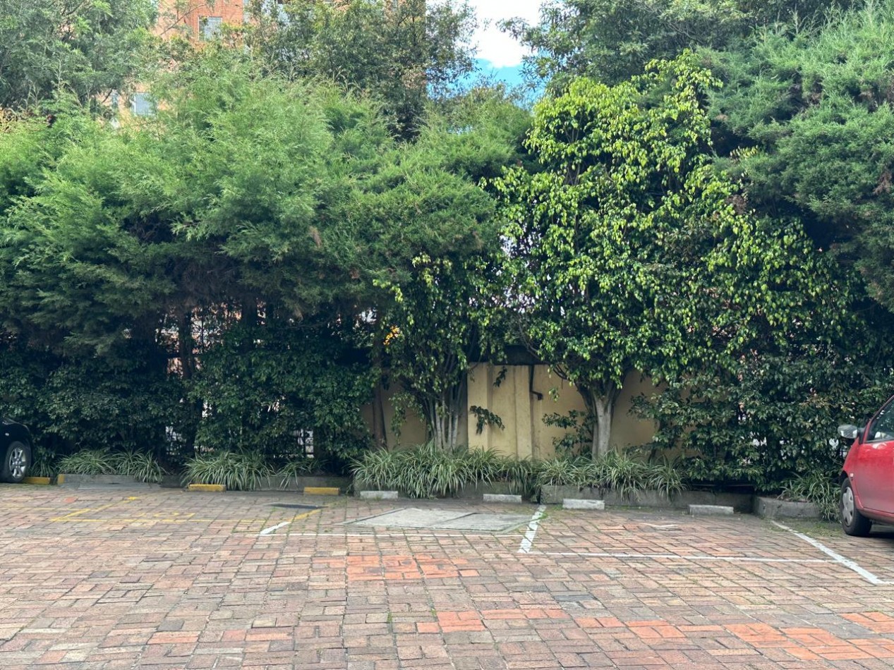 VENDO APARTAMENTO EXTERIOR SOTILEZA RODEADO DE VERDE