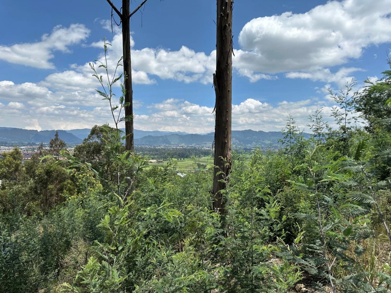 VENDO LOTE ALTOS DE YERBABUENA VISTA A LA SABANA