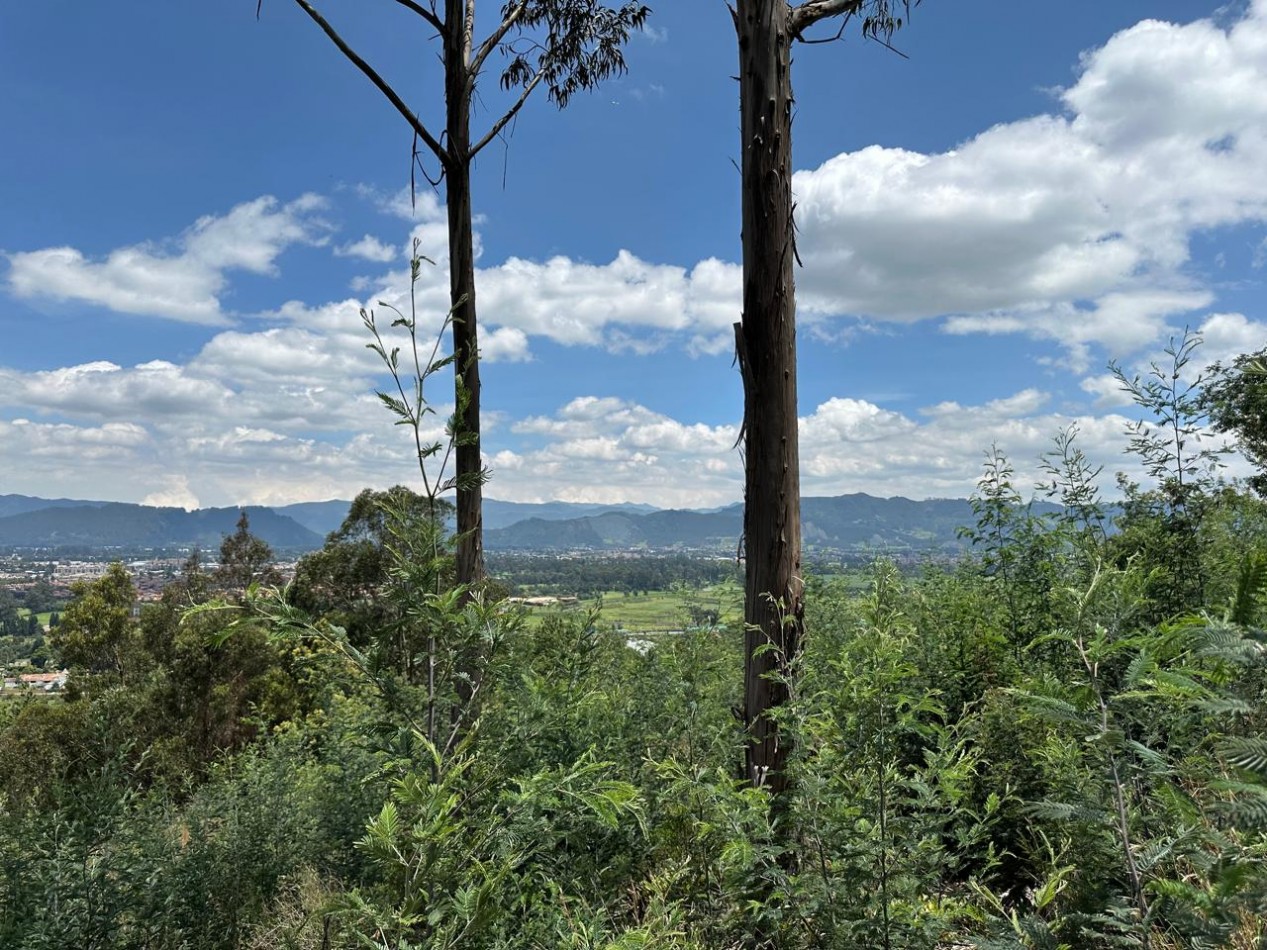 VENDO LOTE ALTOS DE YERBABUENA VISTA A LA SABANA