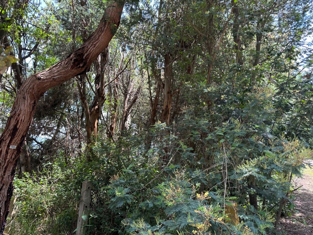 VENDO LOTE ALTOS DE YERBABUENA VISTA A LA SABANA