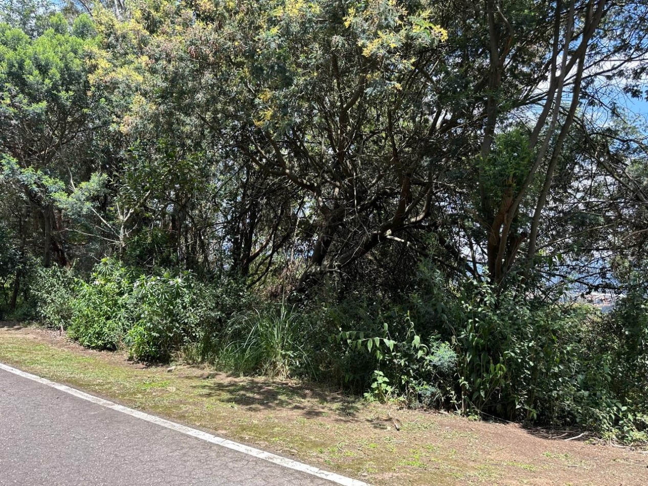 VENDO LOTE ALTOS DE YERBABUENA VISTA A LA SABANA